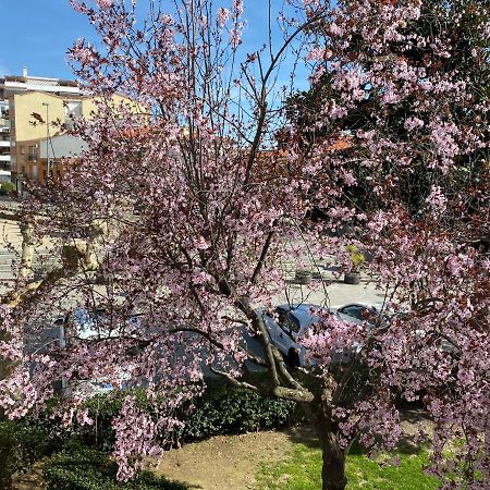 Apartamento Dacosta Plasencia Εξωτερικό φωτογραφία